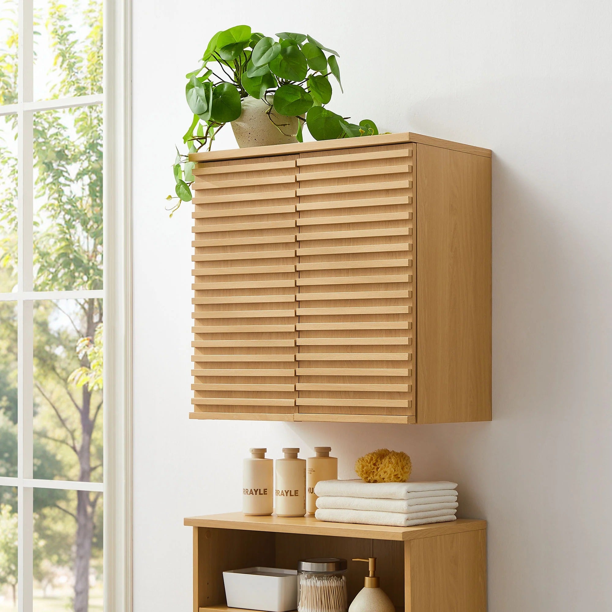 Render Wall Mounted Bathroom Cabinet