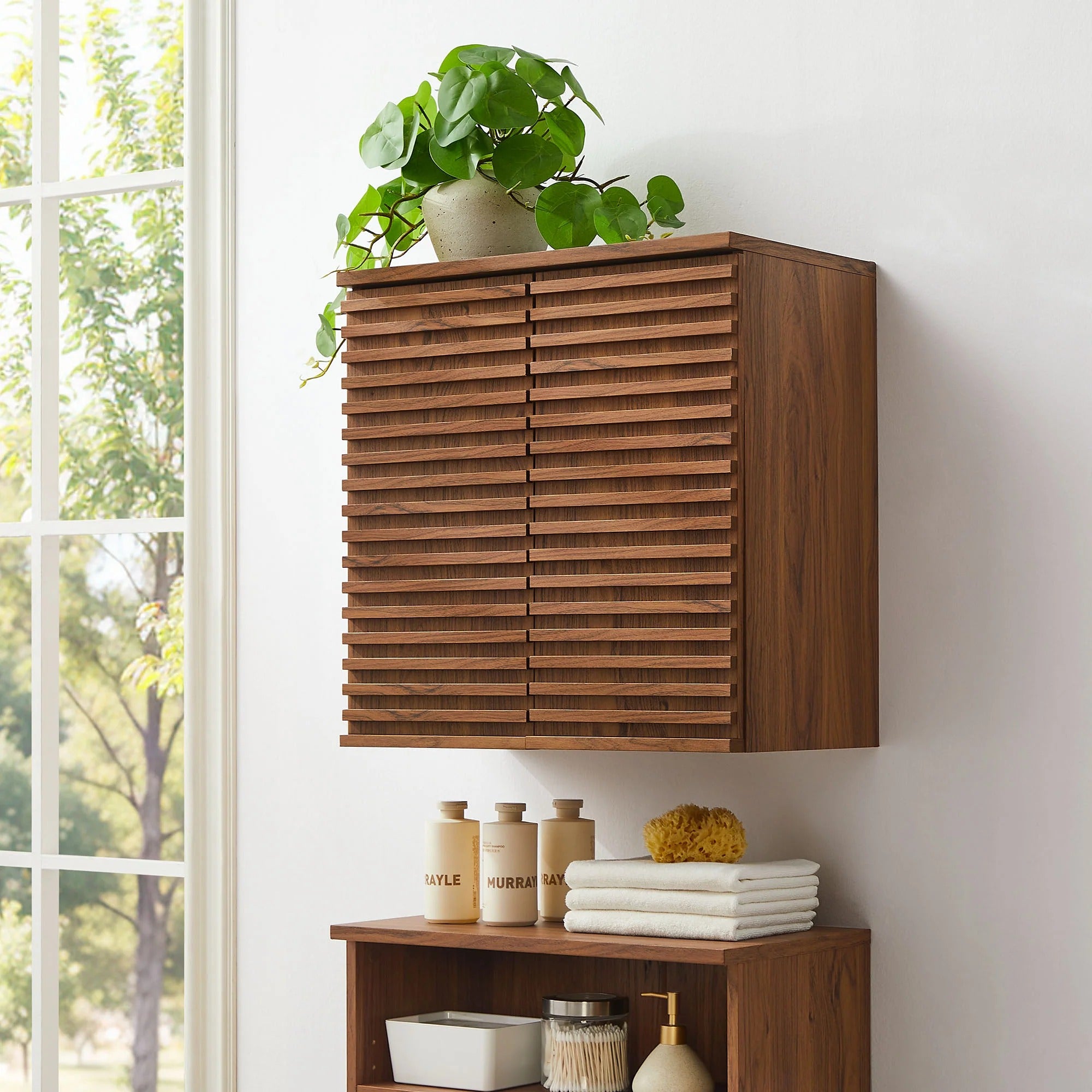 Render Wall Mounted Bathroom Cabinet