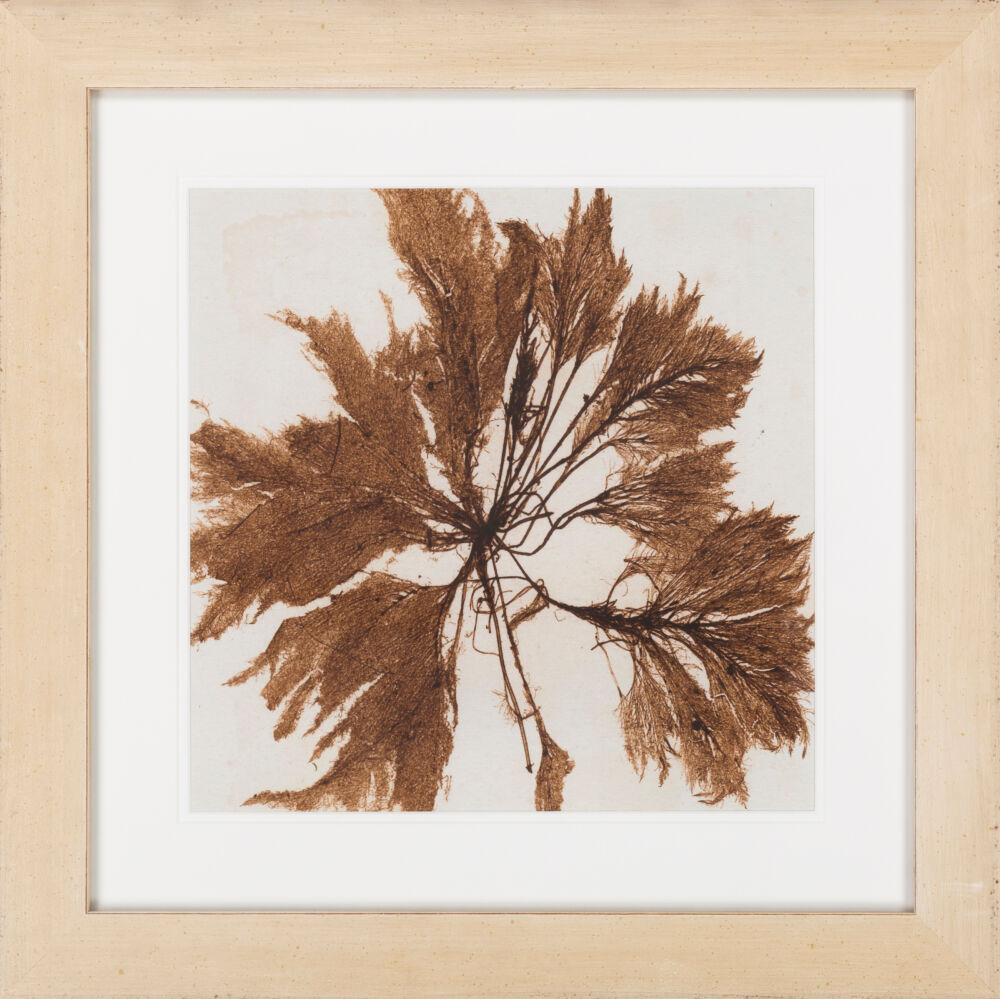 Surya Wall Decor Framed Art
