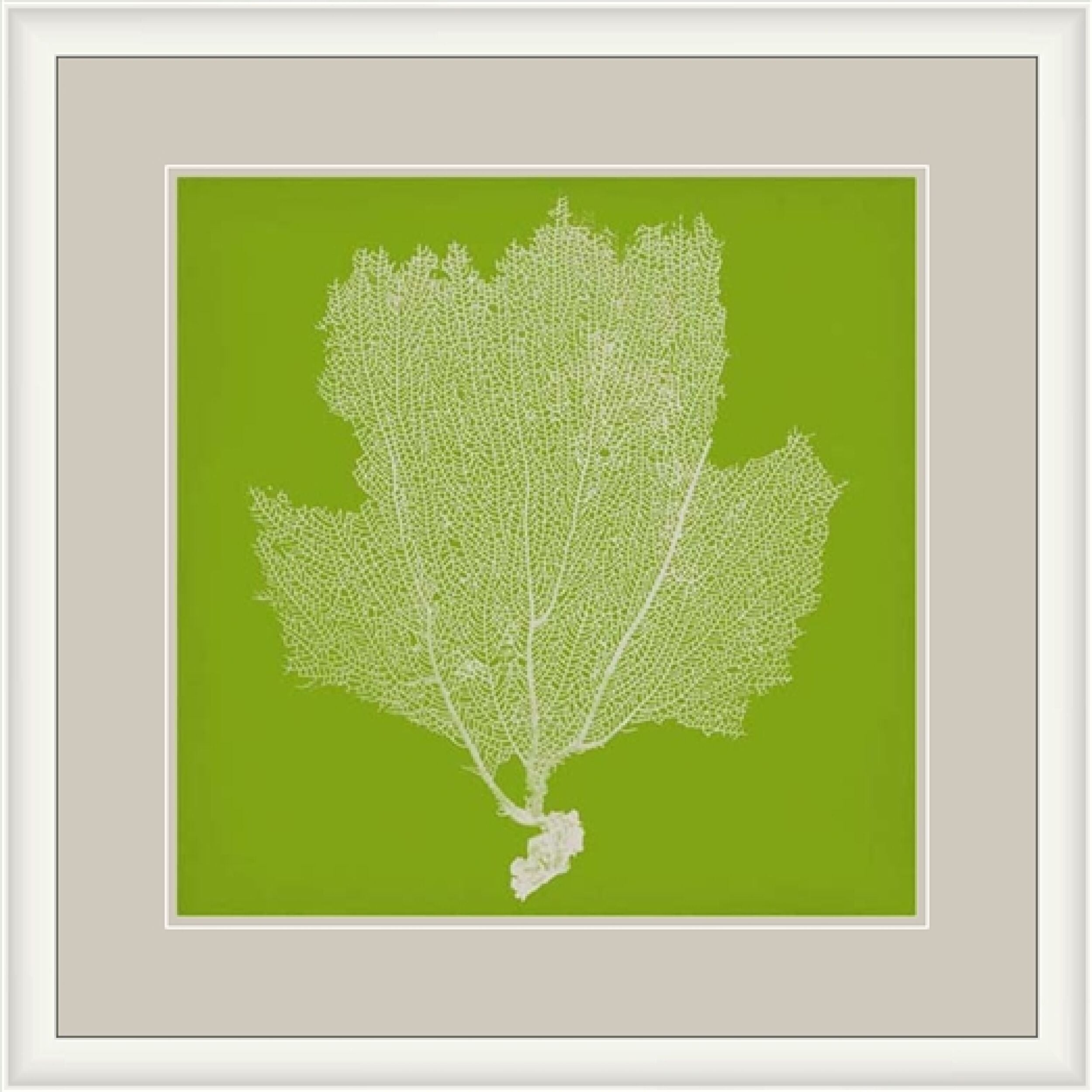 Surya Wall Decor Framed Art