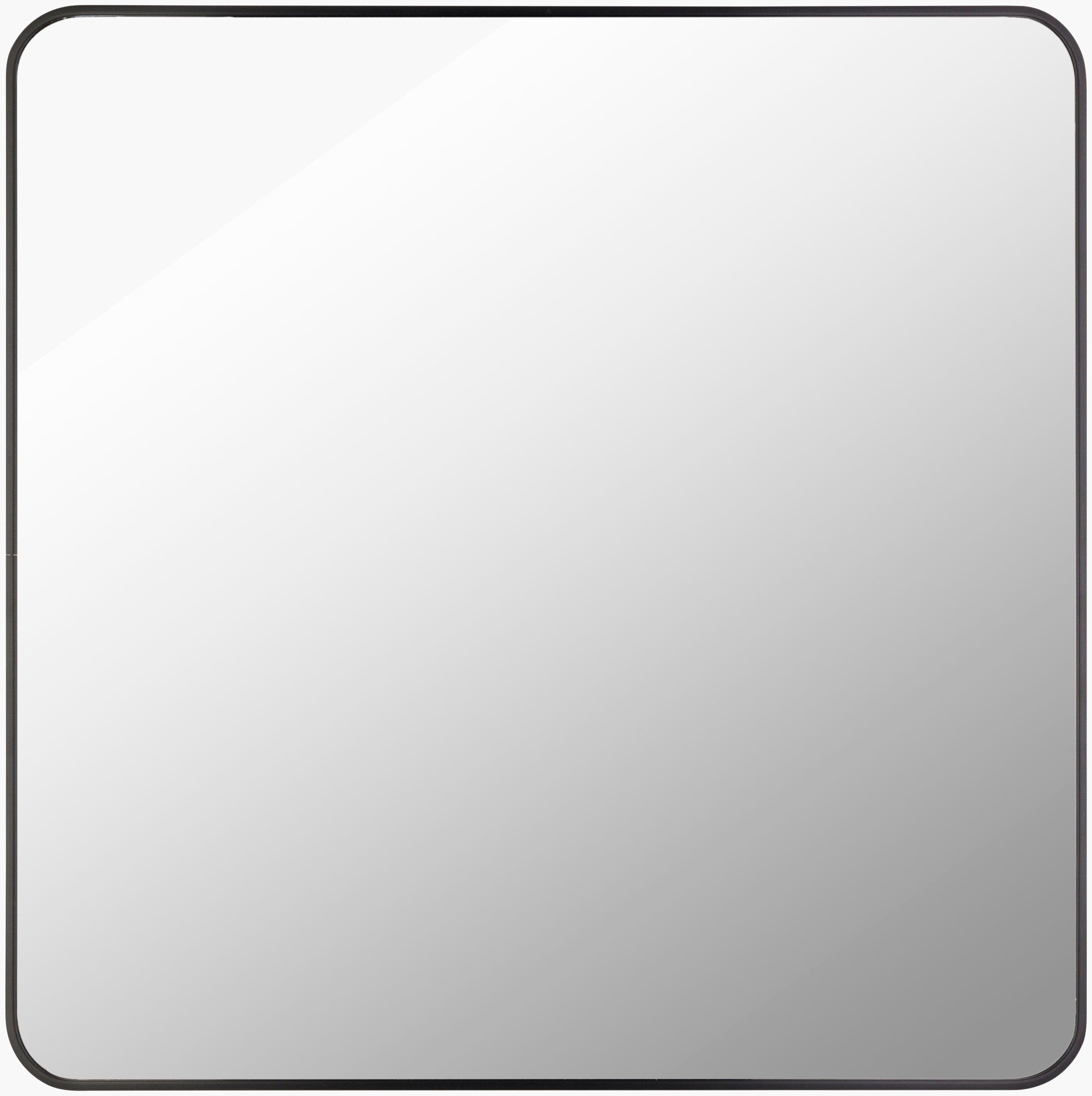 Aranya Accent Mirror