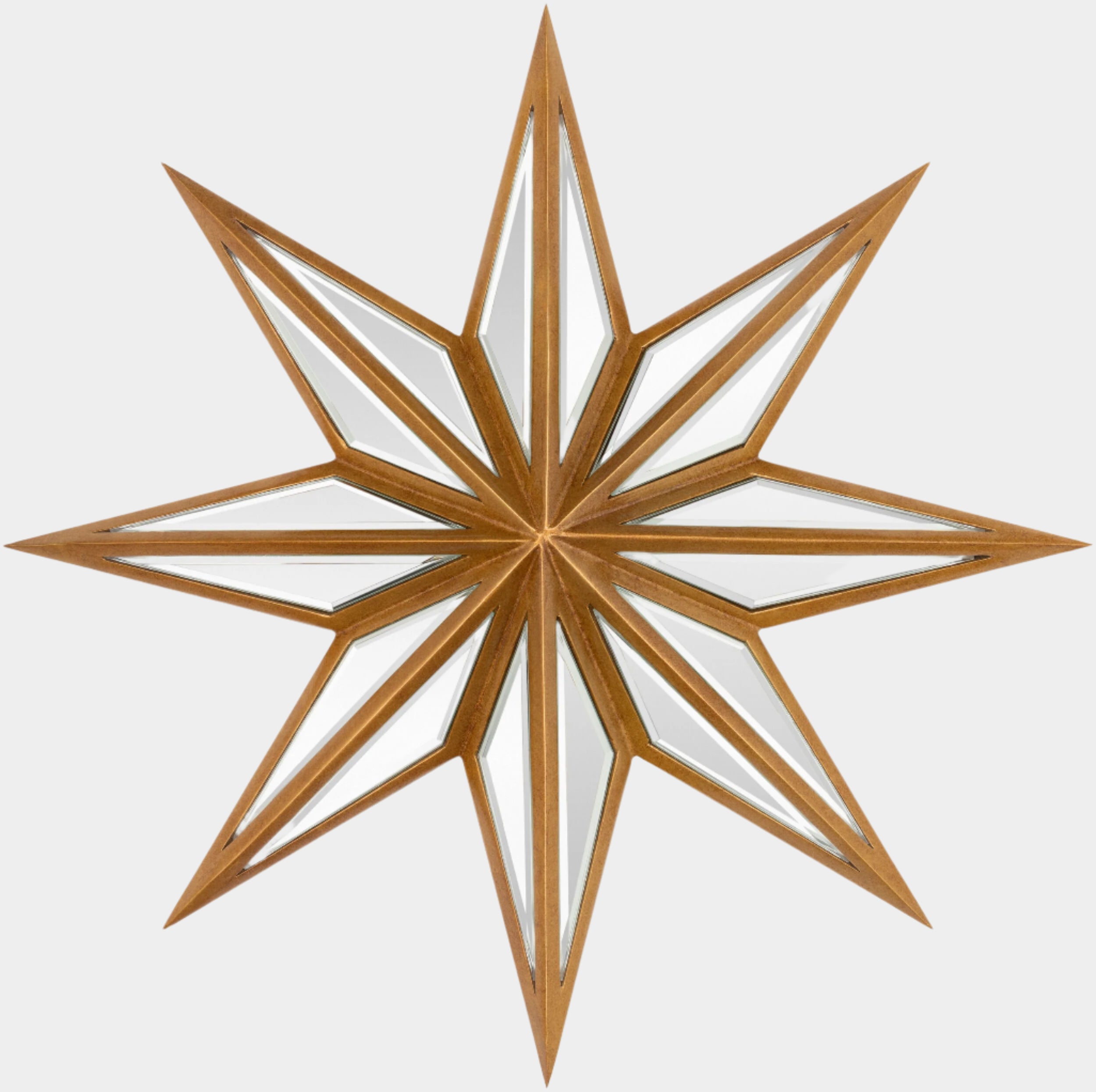 Starfish Mirror