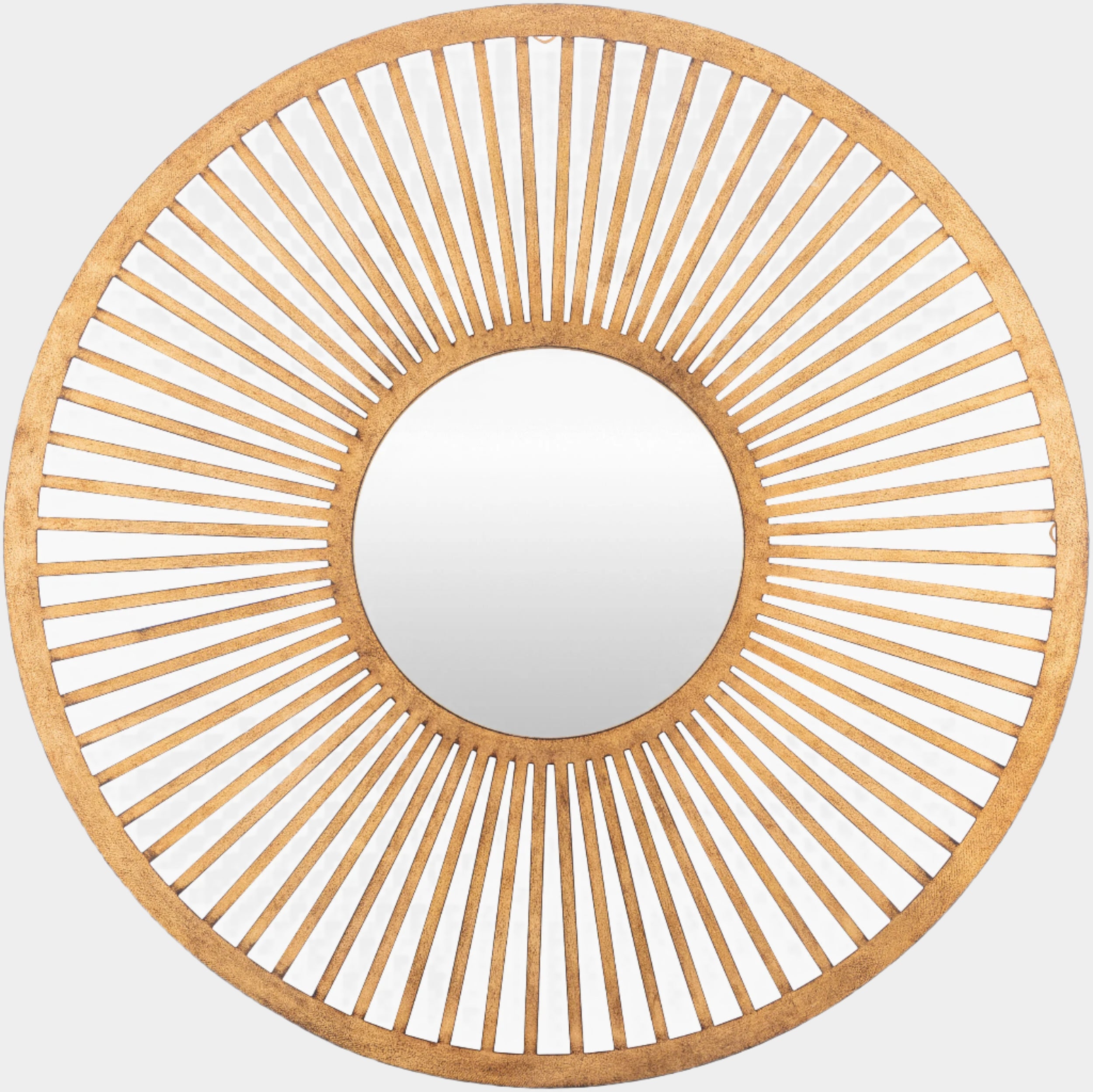 Vision Mirror
