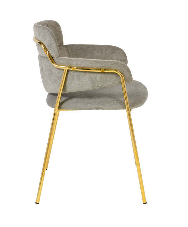 Karl Grey Velvet Chair (Set of 2)