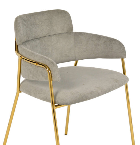Karl Grey Velvet Chair (Set of 2)
