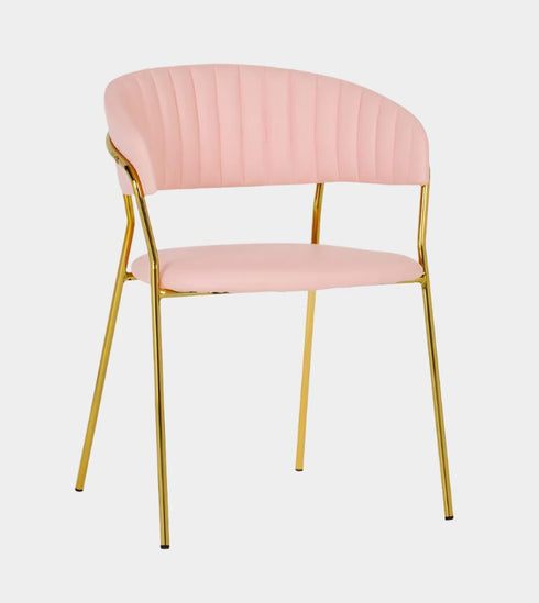 Padma Chair (Set of 2)