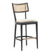Tina Cane Counter Stool
