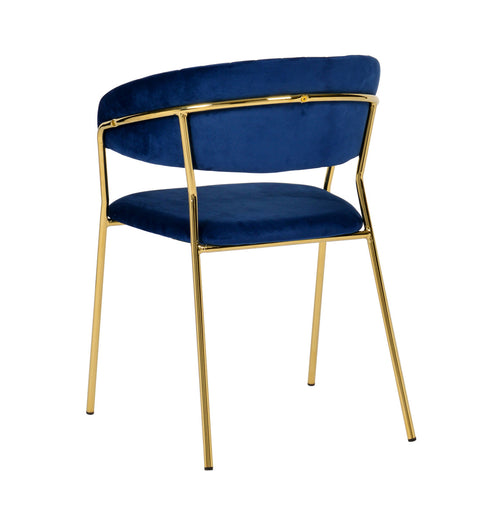 Padma Chair (Set of 2)