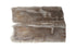 Petrified Wood Dining Table Brushed Stainless Steel Legs