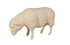 Sheep Sculpture